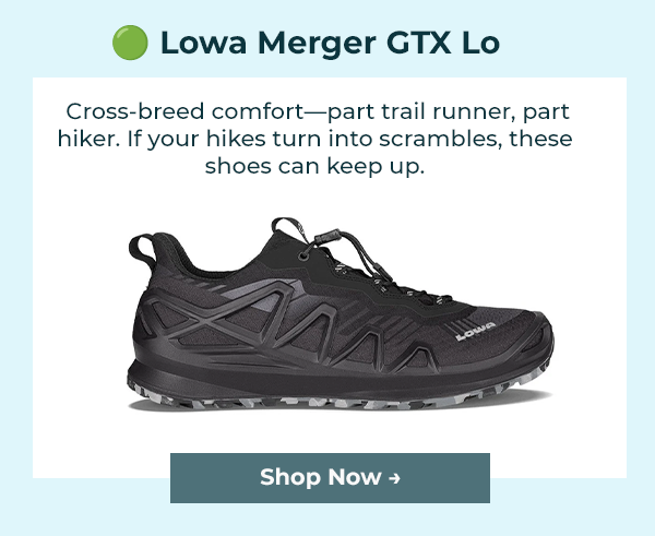 🟢 Lowa Merger GTX Lo