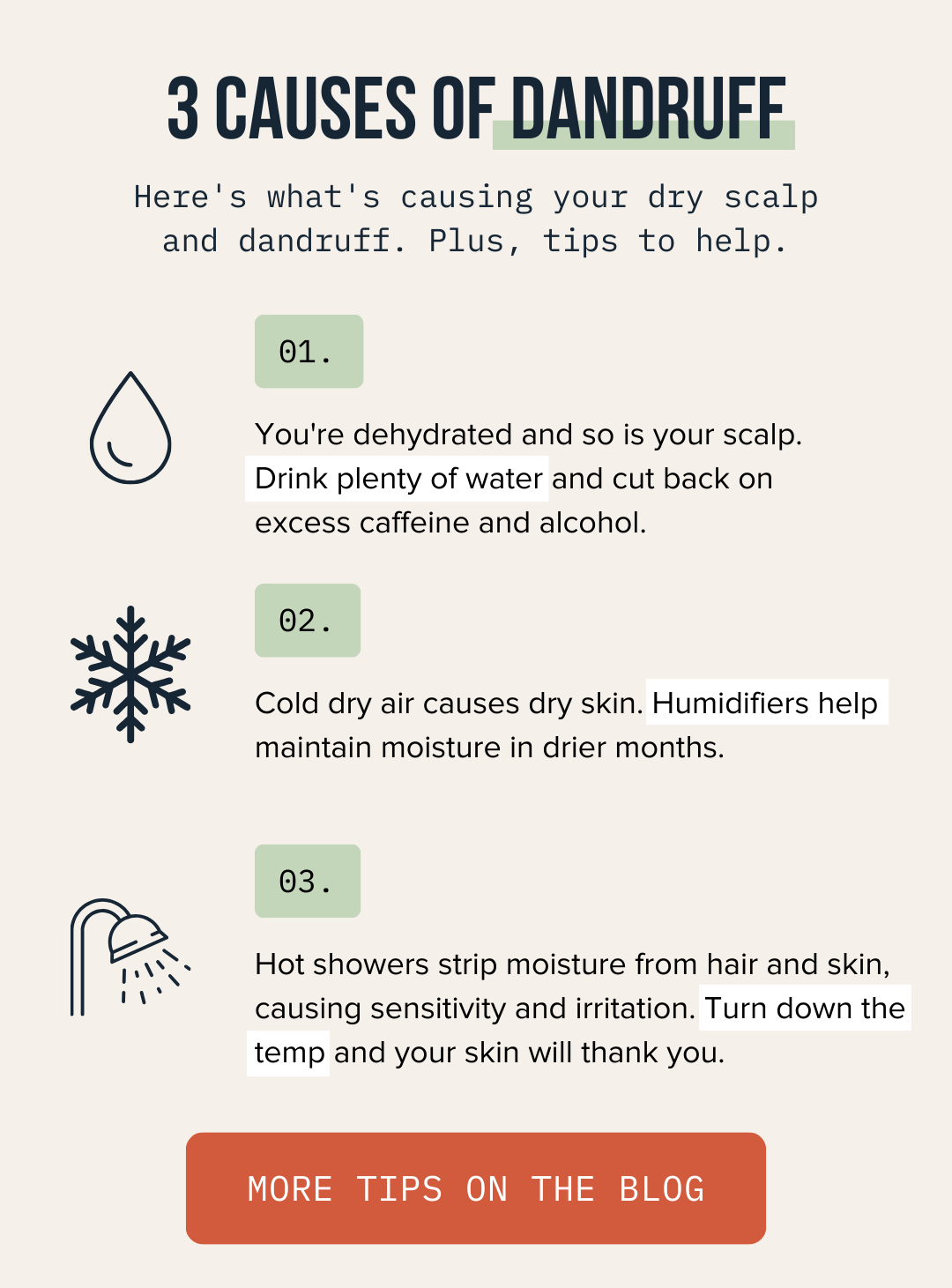 😰 3 Causes of Dandruff Cardon
