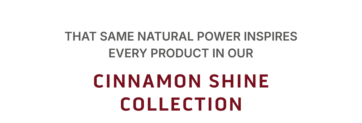 That same natural power inspires every product in our  Cinnamon Shine Collection