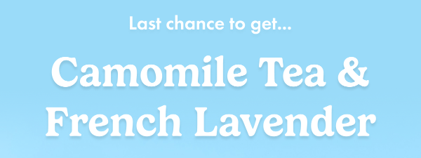 Last chance to get... Camomile Tea & French Lavender