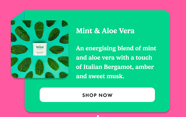 Mint & Aloe Vera. An energising blend of mint and aloe vera with a touch of Italian Bergamot, amber, and sweet musk.