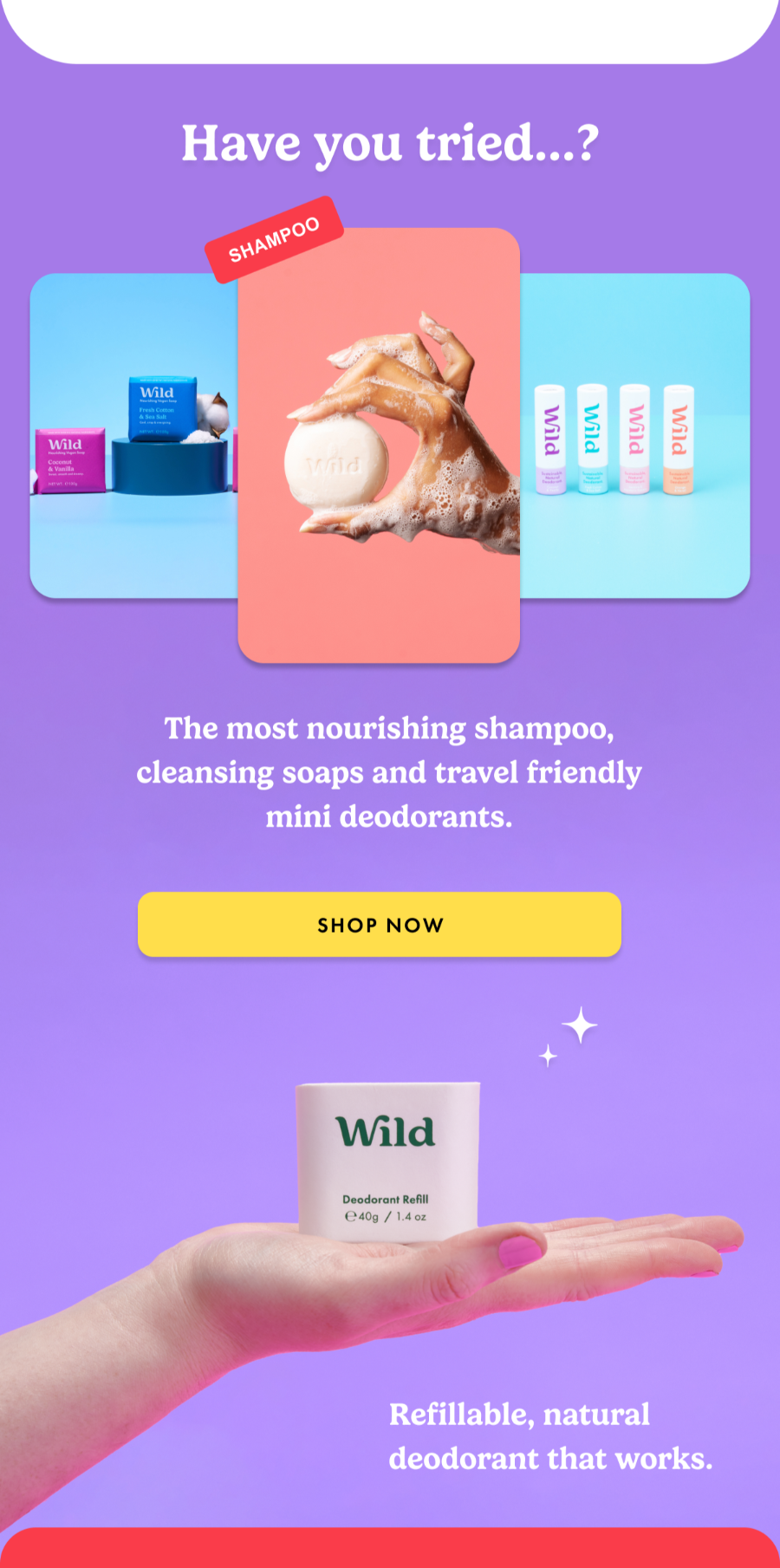 You can find the rest of our offers here: