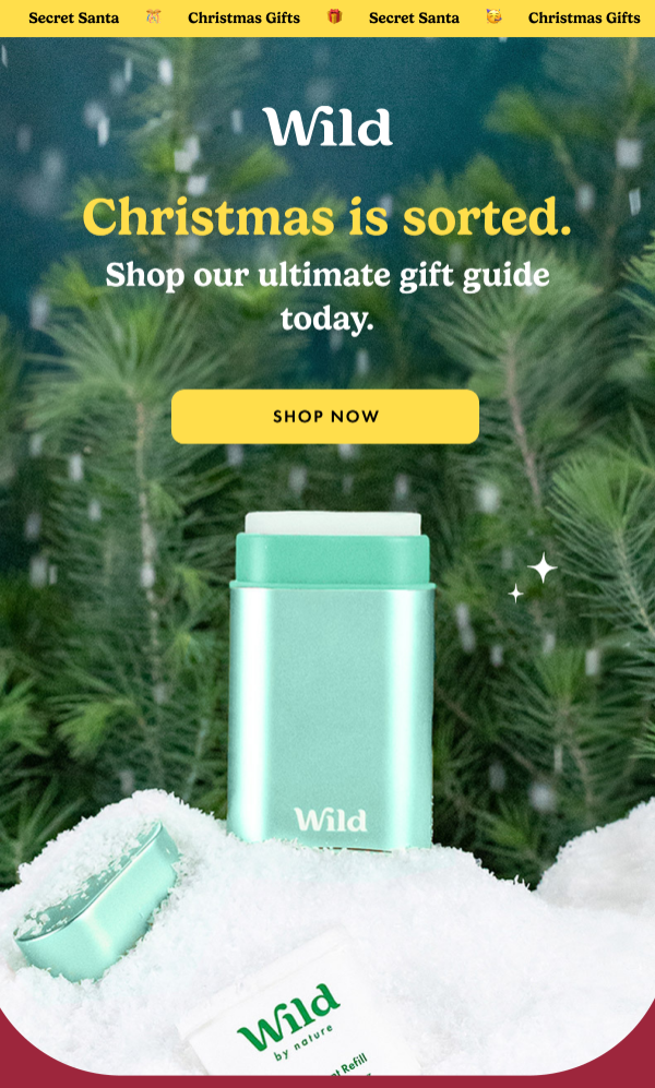 Secret Santa. Christmas Gifts. Wild logo.