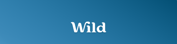 Wild Logo