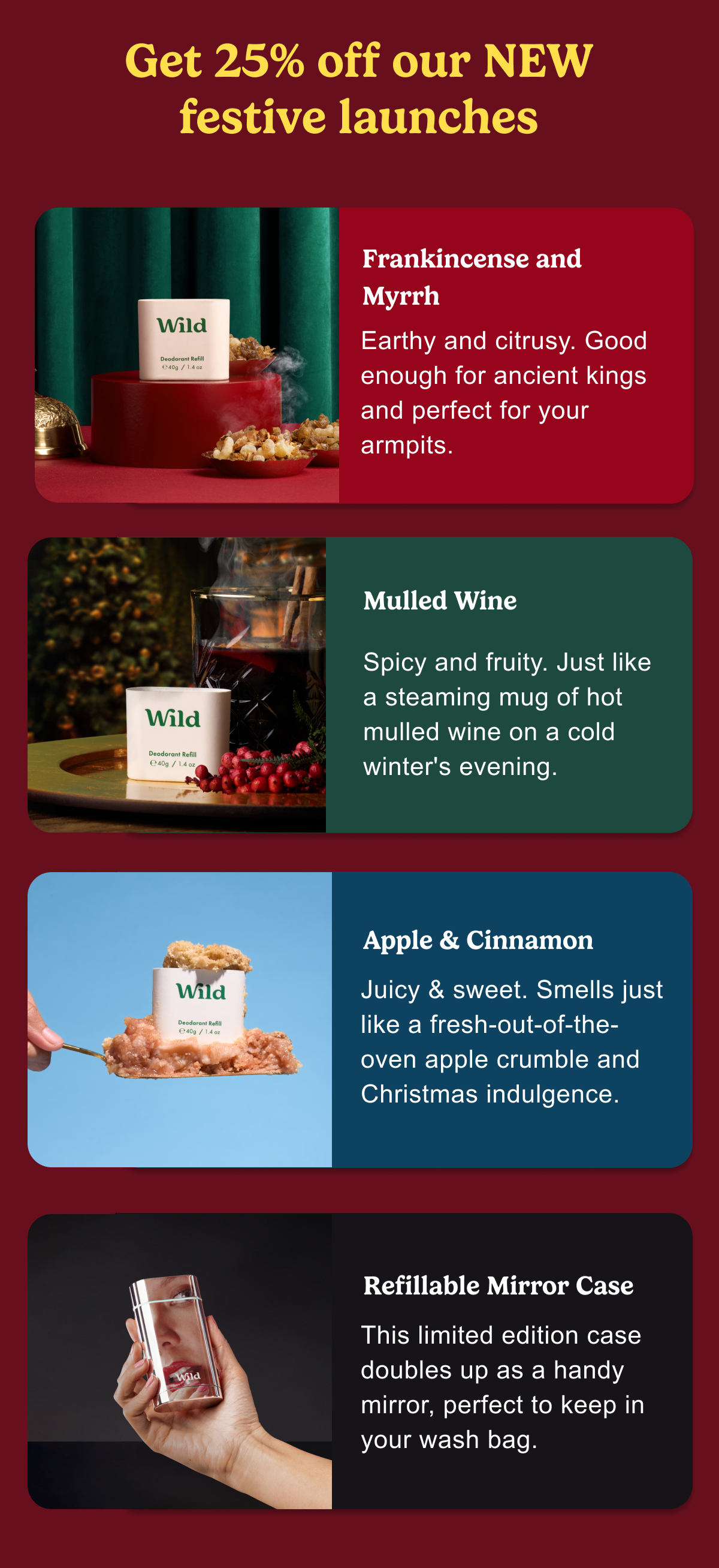 Get 25% off our NEW festive launches