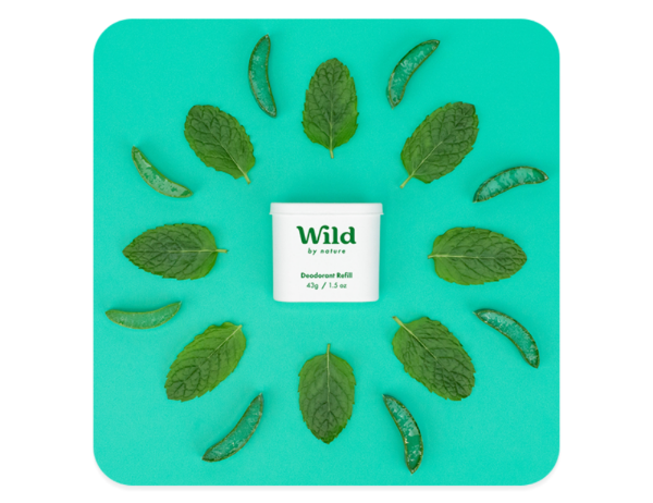 Mint & Aloe Vera