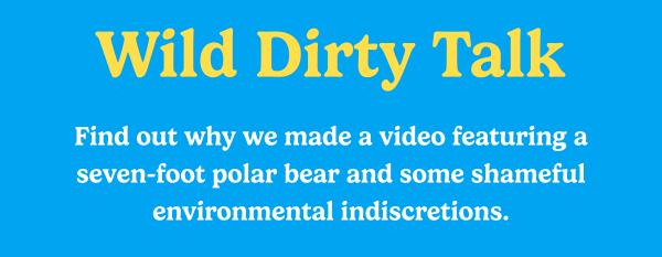Wild Dirty Talk