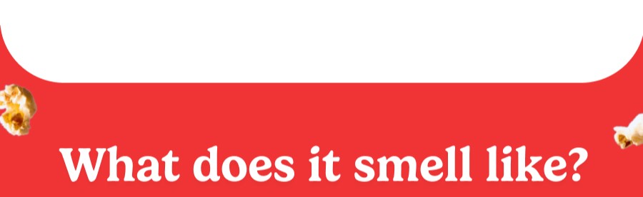 What does it smell like?