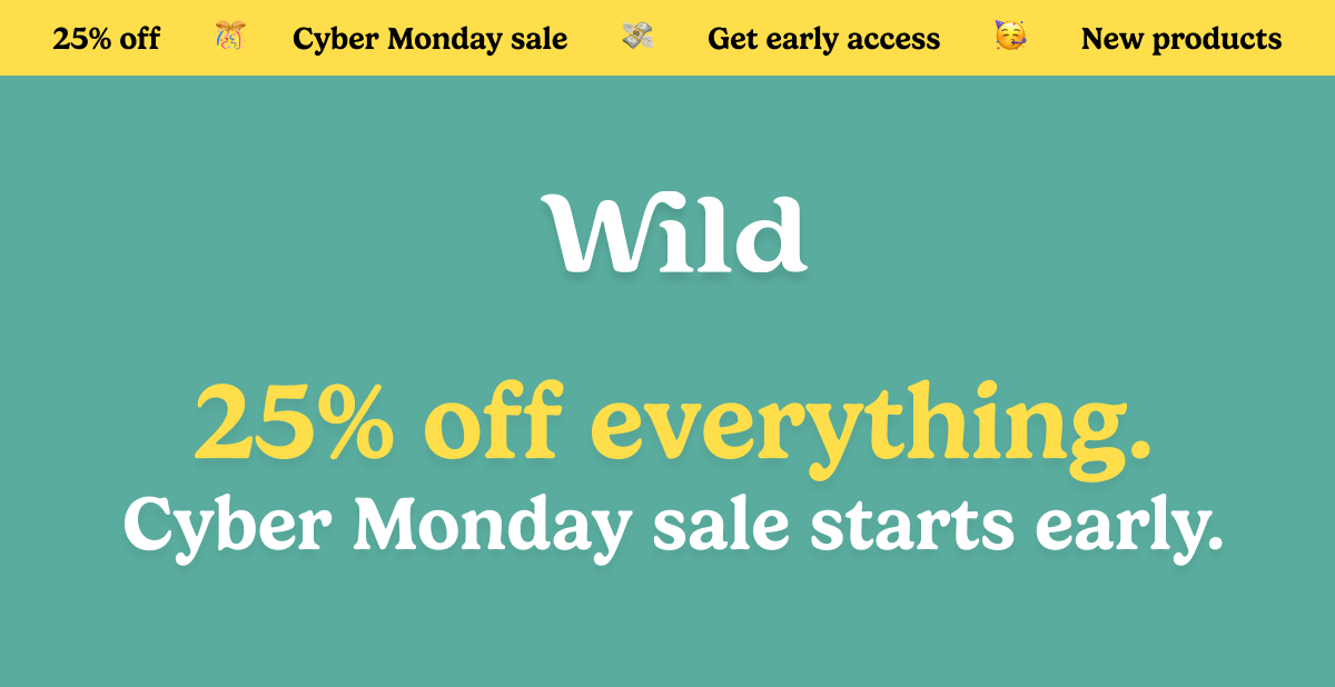 25% off everything. Cyber Monday sale has begun,.