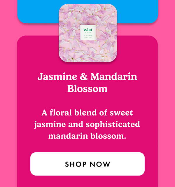 Jasmine & Mandarin Blossom. A floral blend of sweet jasmine and sophisticated mandarin blossom.