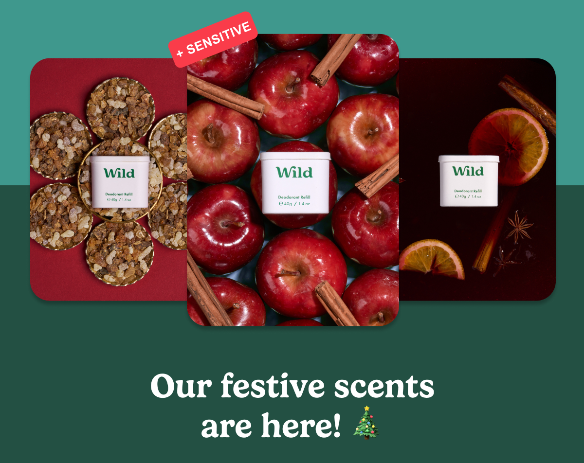 Our festive scents are here!