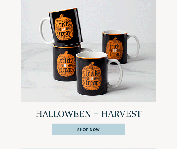 HALLOWEEN + HARVEST  [SHOP NOW]