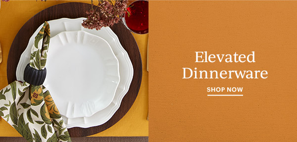 Elevated Dinnerware  SHOP NOW