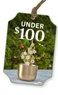 UNDER $100