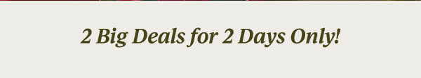 2 Big Deals for 2 Days Only!