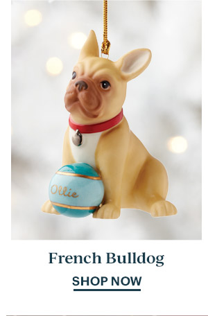 French Bulldog  SHOP NOW