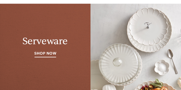 Serveware  SHOP NOW