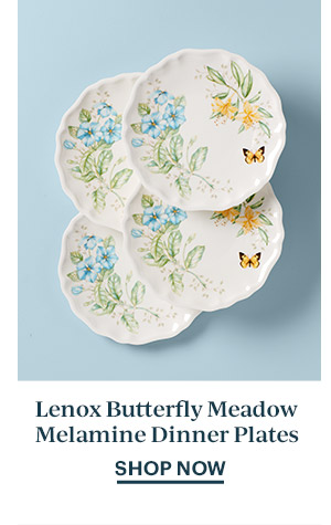 Lenox Butterfly Meadow Melamine Dinner Plates  SHOP NOW