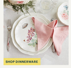 SHOP DINNERWARE