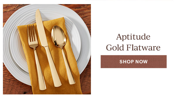 Aptitude Gold Flatware  [SHOP NOW]