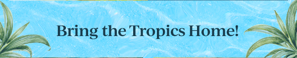 Bring the Tropics Home!
