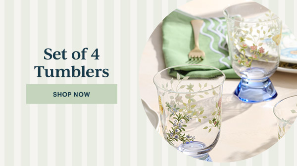 Set of 4 Tumblers  [SHOP NOW]
