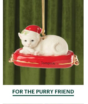 FOR THE PURRY FRIEND