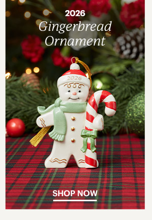 2026 Gingerbread Ornament  SHOP NOW