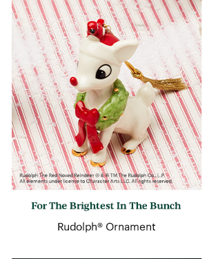 For The Brightest In The Bunch  Rudolph Ornament