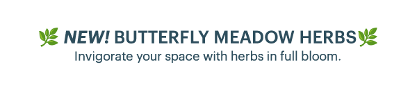 NEW! BUTTERFLY MEADOW HERBS  Invigorate your space with herbs in full bloom.