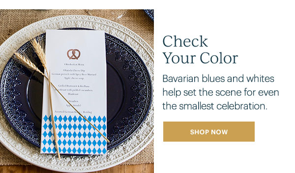 Check Your Color: Bavarian blues and whites help set the scene for even the smallest celebration. SHOP NOW