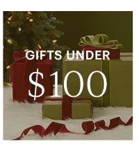 GIFTS UNDER $100