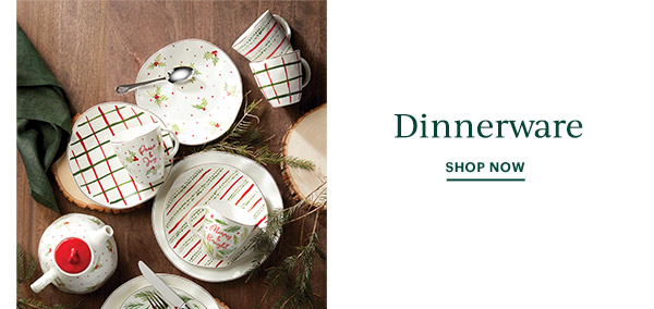 Dinnerware  SHOP NOW
