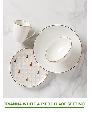 TRIANNA WHITE 4-PIECE PLACE SETTING