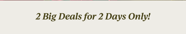2 Big Deals for 2 Days Only!