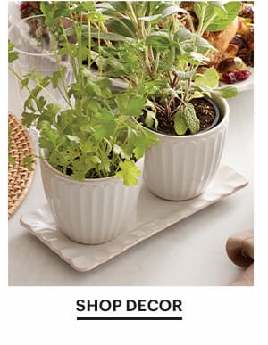 SHOP DECOR