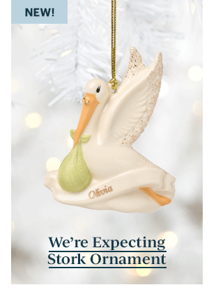 We're Expecting Stork Ornament