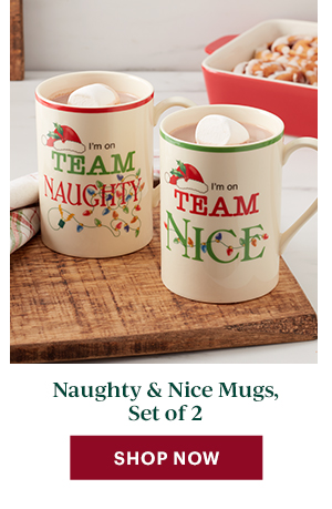 Naughty & Nice Mugs, Set of 2  [SHOP NOW]