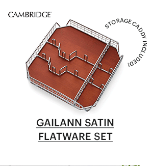 GAILANN SATIN FLATWARE SET