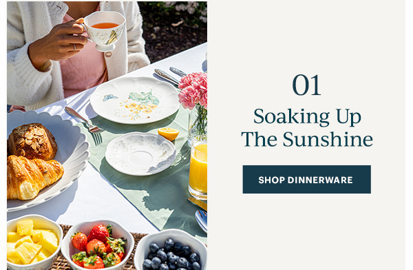 01 Soaking Up The Sunshine SHOP DINNERWARE