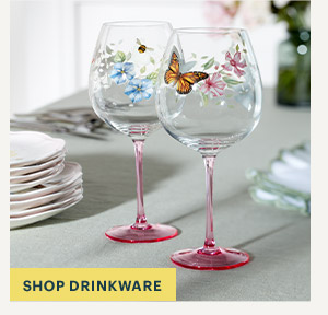 SHOP DRINKWARE