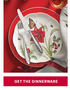 [GET THE DINNERWARE]