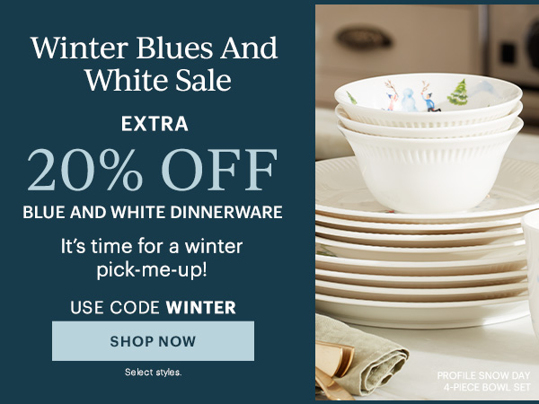 Winter Blues & White Sale: Extra 20% Off Blue and White Dinnerware! It's time for a winter pick-me-up! Use code WINTER Shop Now