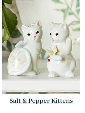 Salt & Pepper Kittens