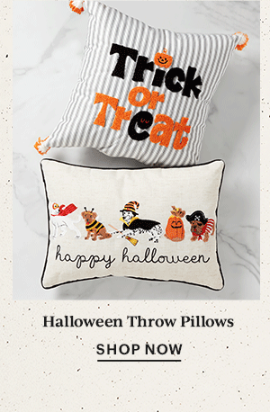 Halloween Throw Pillows  SHOP NOW