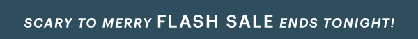 SCARY TO MERRY FLASH SALE ENDS TONIGHT!