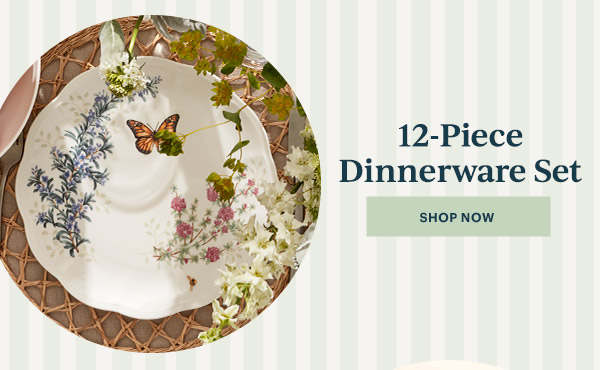 12-Piece Dinnerware Set  [SHOP NOW]