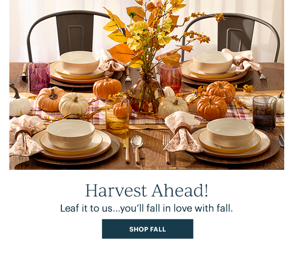Harvest Ahead!  Leaf it to us...you'll fall in love with fall.  [SHOP FALL]