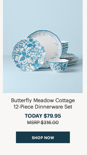 Butterfly Meadow Cottage 12-Piece Dinnerware Set  TODAY $79.95  [SHOP NOW]