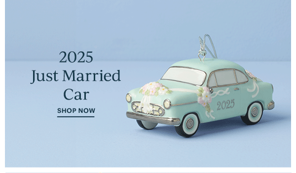 2025 Just Married Car  SHOP NOW